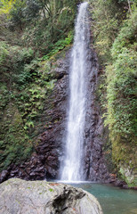 Fototapeta premium Waterfall of Yoro at autumn time. Japan