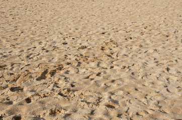 Human footprint on dry sea beach