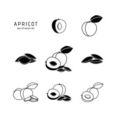 Apricot - vector icon set on white background.