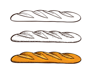 Set of hand drawn vector. White bread. Baguette. Color vintage engraving illustration for poster, label and menu bakery shop.