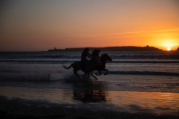 Horse riding at sunset in Essaouira, Morocco