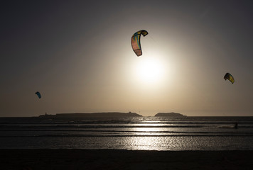Kitesurfers at sunset in Essaouira, Morocco