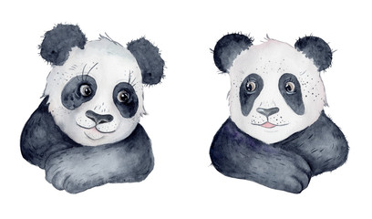 Cute Panda bear cartoon watercolor illustration animal