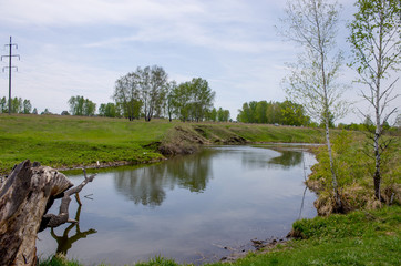 landscape the wood in the spring to Siberia Russia