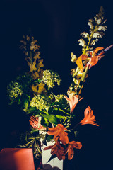 The colorful flowers.