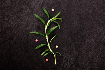 A rosemary branch with pepper, shot from above on a black background with copy space