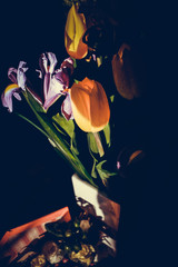 The colorful flowers.