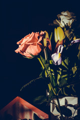 The colorful flowers.