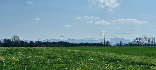Fototapeta na wymiar panorama mit grüner Wiese und Allgäuer Berge