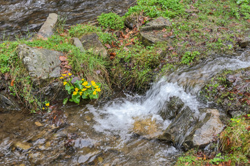Cascades of pure mountain river among the stones