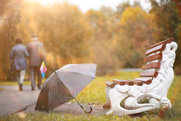 Autumn background in the park