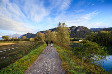 Naklejka na ściany i meble sentiero lungo il fiume Adda presso Brivio