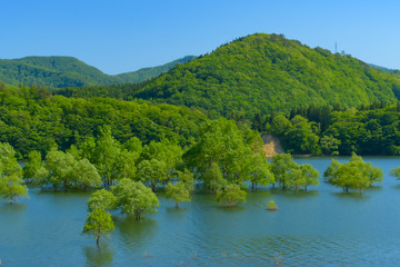 Fototapeta na wymiar 新緑の錦秋湖(岩手県) Kinshuko in Iwate Japan