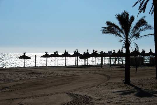 Parasols and palm trees silhouetted along Daitona beach, Marbella, Spain.