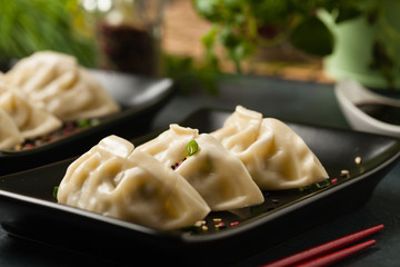 Original Japanese dumplings Gyoza with chicken and vegetables.Front view. Dark blue backgrund.