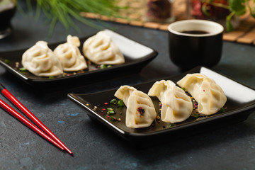 Original Japanese dumplings Gyoza with chicken and vegetables.Front view. Dark blue backgrund.