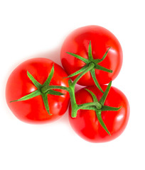 three tomatoes on a branch isolated on a white background,top view