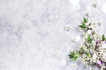 Spring blossom. Cherry flowers in envelope box flat on pastel background. Greeting card with white flowers , copy space