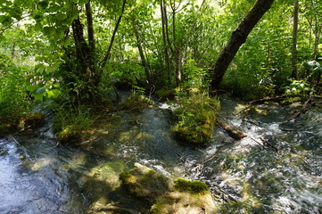 Nationalpark Plitvicer Seen 23