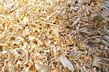Pine sawdust background