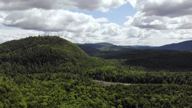Birds eye view of a forest in Maine United State of America
