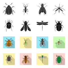 Vector design of insect and fly sign. Set of insect and element stock vector illustration.
