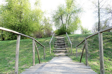 Wooden bridge in the park