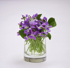Bouquet of violets in small glass vase isolated on white