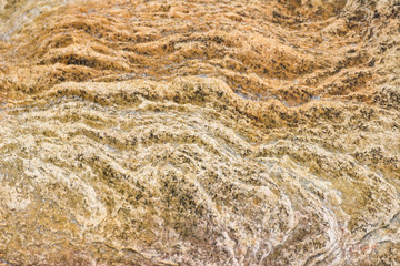 Details of sand stone texture.Thailand.