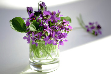 Bouquet of violets in small glass vase isolated on white