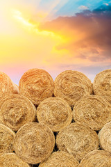 Round straw bales haystack on farmland at sunset