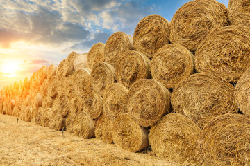 Round straw bales haystack on farmland at sunset