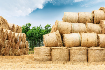 Straw bales on farmland with blue cloudy sky