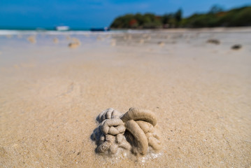 Sand ball on the beach made by crabs after low tide.Thailand.