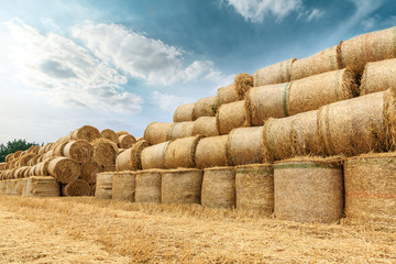 Straw bales on farmland with blue cloudy sky