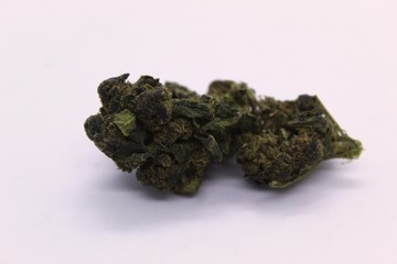 Gelato Cannabis flower violet background