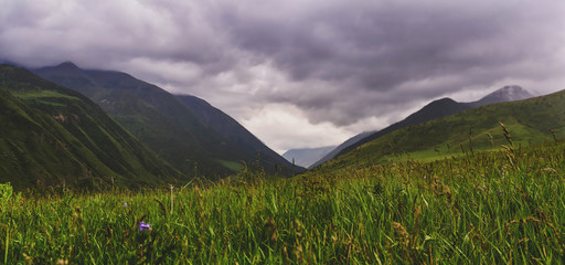 Fototapeta premium Valley with dramatic dark clouds and rain, storm clouds over the valley, view from the gorge.