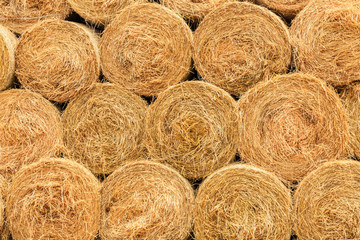 Round straw bales haystack on farmland