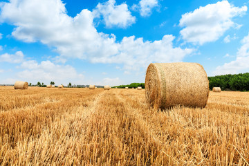 Straw bales on farmland with blue cloudy sky