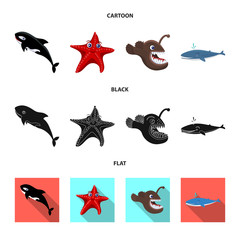 Vector illustration of sea and animal icon. Set of sea and marine stock vector illustration.