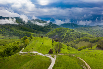 Fototapeta na wymiar Green meadows of Transylvania in the spring.