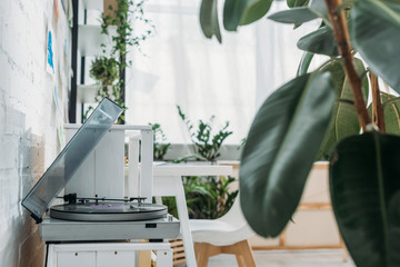 selective focus of record player with vinyl disk in room with green plants