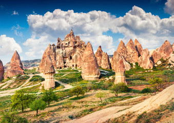 Naklejka premium Colorful spring scene of Cappadocia. Picturesque morning view of of Red Rose valley in April. Cavusin village located, district of Nevsehir, Turkey, Asia. Traveling concept background.