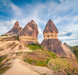 Fabulous spring scene of Cappadocia. Picturesque morning view of of Red Rose valley in April....