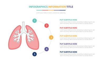 human lungs anatomy infographic template concept with five points list and various color with clean modern white background - vector