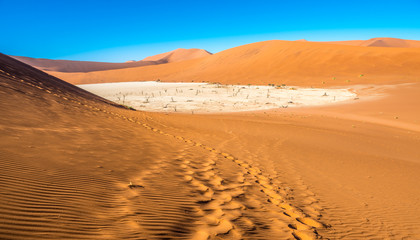 Fototapeta na wymiar Red sand dunes in Deadvlei, Sossusvlei, Namib-Naukluft National Park, Namibia
