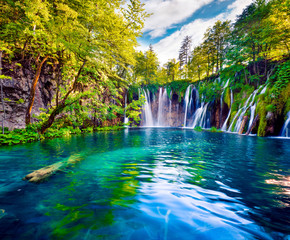 Picturesque morning view of Plitvice National Park. Colorful spring scene of green forest with pure...