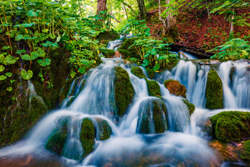 Nice morning view of Plitvice National Park. Colorful spring scene of green forest with pure water waterfall. Beautiful countryside landscape of Croatia, Europe. Beauty of nature concept background.