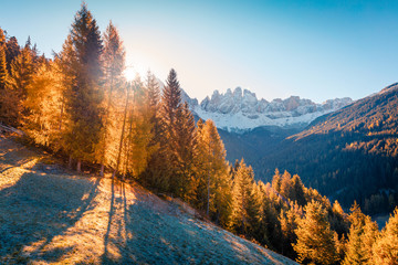 Nice view of Santa Maddalena village hills in front of the Geisler or Odle Dolomites Group. Colorful autumn scene of Dolomite Alps, Italy, Europe. Beauty of countryside concept background.