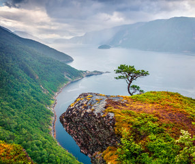 Rainy morning view of Tingvollfjorden flord, Sunndal Municipality in More og Romsdal county. Great aerial scene in Norway, Europe. Beauty of nature concept background.